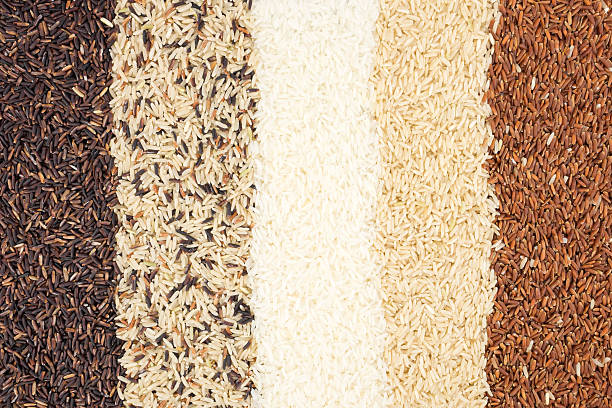 istock Jasmine rice,Brown, Red, Mixed and Riceberry texture for background. 623619700