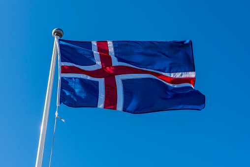 Icelandic flag waving in the wind with blue sky.