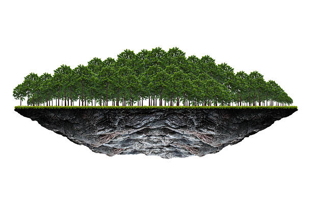 istock The floating island on white background. 623620658
