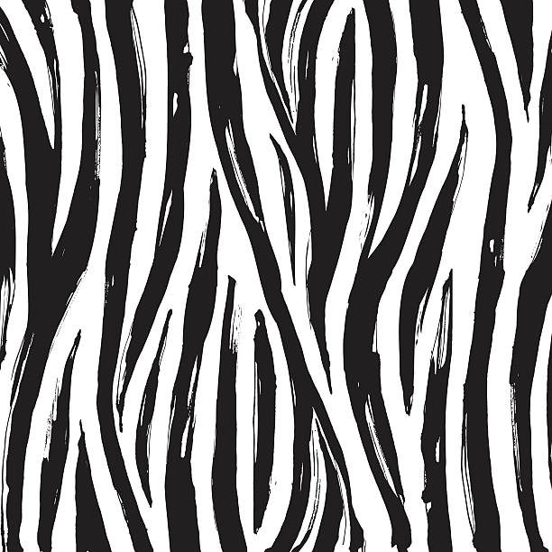 Zebra print background pattern. Black and white vector art illustration
