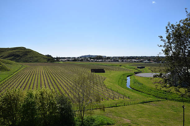 istock View of vineyard from hilltop 623664774