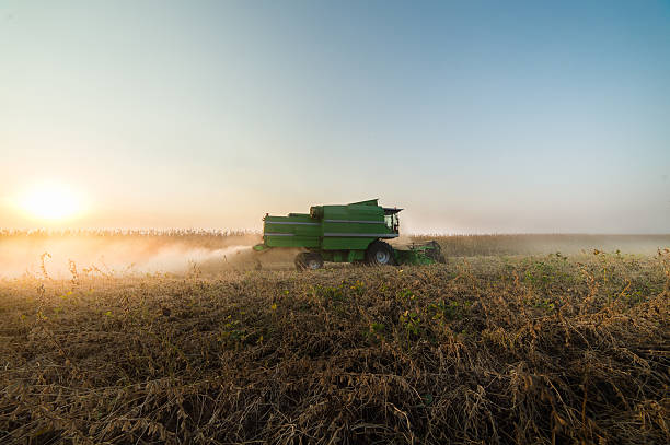 istock soybean harvest in autumn 623665460
