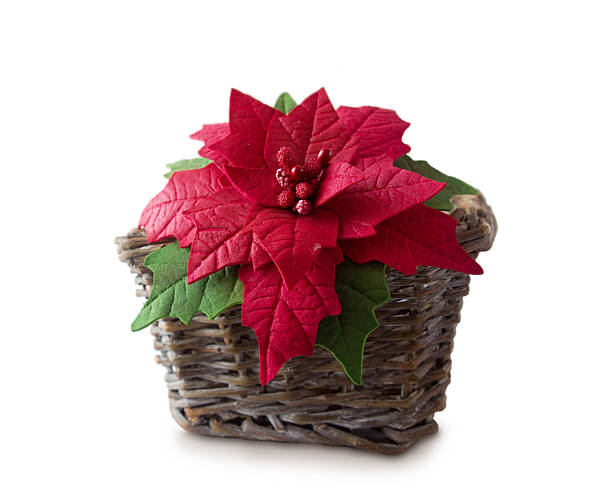 istock Poinsettia in a basket 623665476