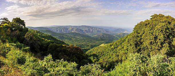 Mago National Park, Ethiopia View of the Mago National Park, Ethiopia landscape ethiopia stock pictures, royalty-free photos & images