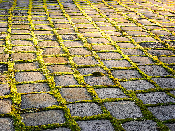 istock old road paved with moss between the stones 623673660