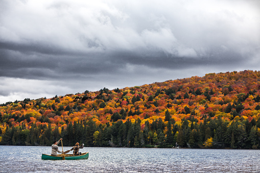 Couple enjoying a ride on a typical canoe in the Algonquin Park, Ontario - Canada.