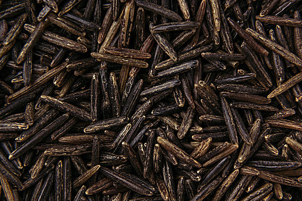 Black rice close-up background. Black rice close-up background. Heap wild brown unpolished rice for vegetarians. genmai stock pictures, royalty-free photos & images