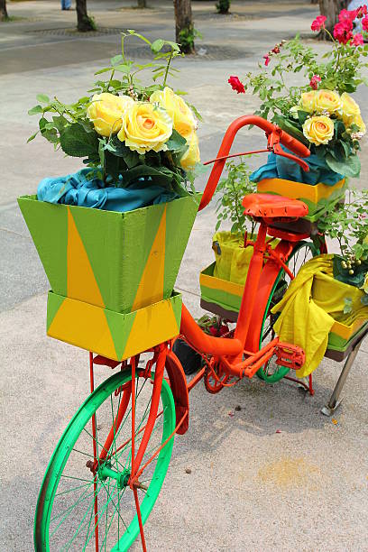 istock beautiful flowers in bicycle basket 623680368