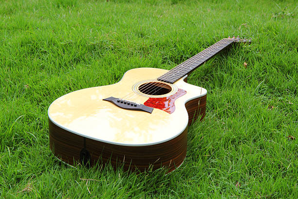 istock acoustic guitar in the park 623681564