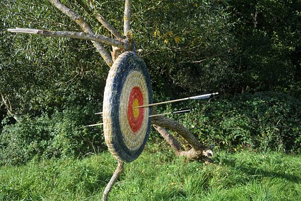 istock Target of straw hanging from the tree branch with arrows 623683308