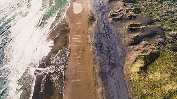 vista aérea da praia de muriwai. - murawai beach - fotografias e filmes do acervo