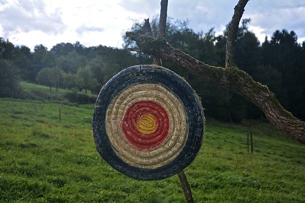 istock Target of straw hanging on the old tree branch 623687170