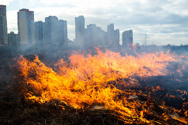 istock Fire in the field near the city 623689260