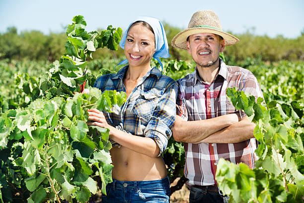 istock Gardeners together in grapes tree yard 623690844