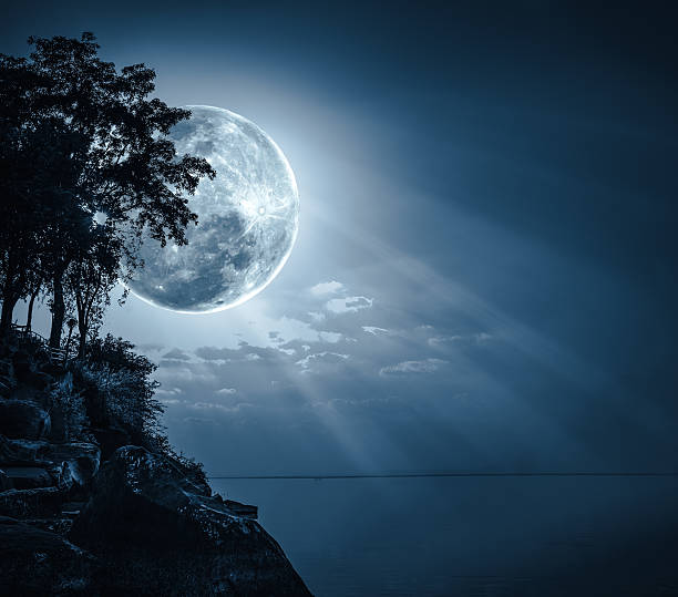 istock Silhouettes of tree against sky over tranquil sea. 623690970