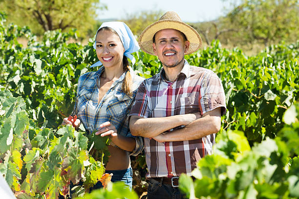 istock man and woman gardeners in grapes tree yard 623691606