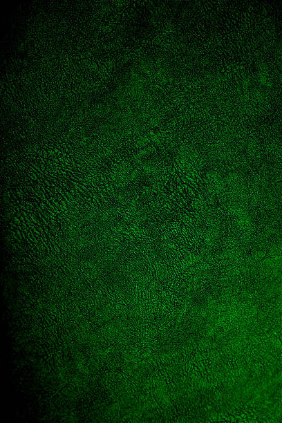 istock Green  Alien Skin Dinosaur Leather Texture Pattern Background Skin  Reptile 623692594