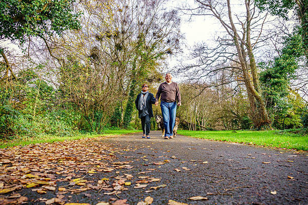 istock Senior couple in autumnal rural setting 623693740