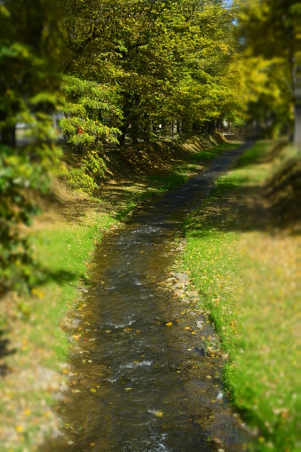 river, park, fall, leaf