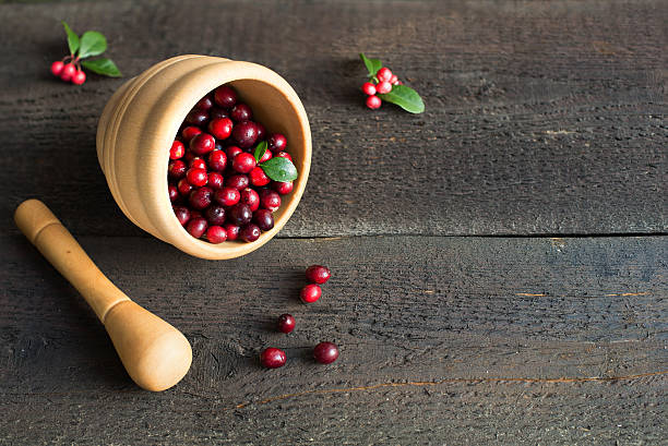 istock Organic, freshly harvested red Cranberries in a Bowl from forest 623700880