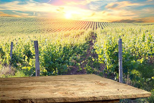 istock Chianti vineyard landscape in Tuscany, Italy 623702546