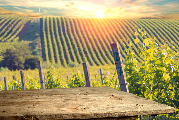istock Chianti vineyard landscape in Tuscany, Italy 623702968