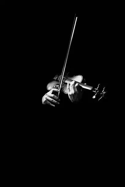 male musician hands playing classical violin, black and white