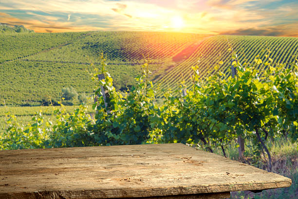 istock Chianti vineyard landscape in Tuscany, Italy 623703136