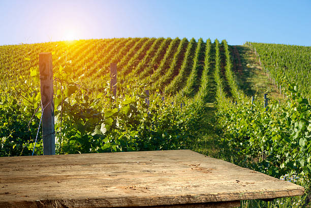 istock Chianti vineyard landscape in Tuscany, Italy 623703926