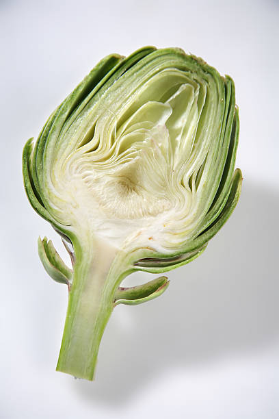 Artichoke heart stock photo