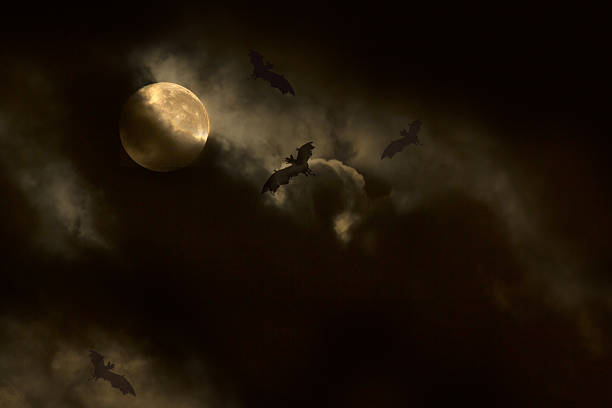 istock The moon and black cloud on scary dark night 623708386