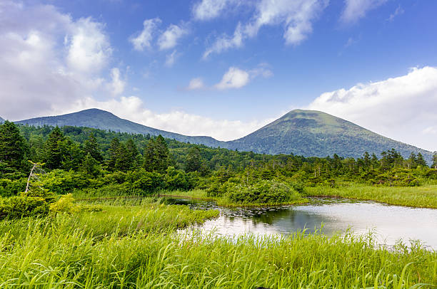 istock Mountain Pond covered with green reed. 623710062