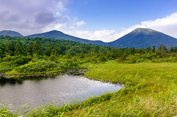 istock Mountain Pond covered with green reed. 623710238