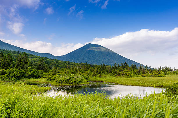 istock Mountain Pond covered with green reed. 623710352