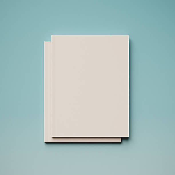 istock Blank magazine on orange background. 3D illustration 623710388