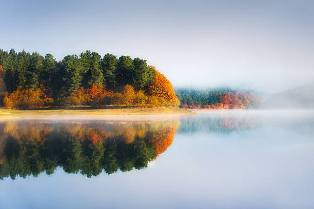 istock Autumn in Urrunaga reservoir 623710656