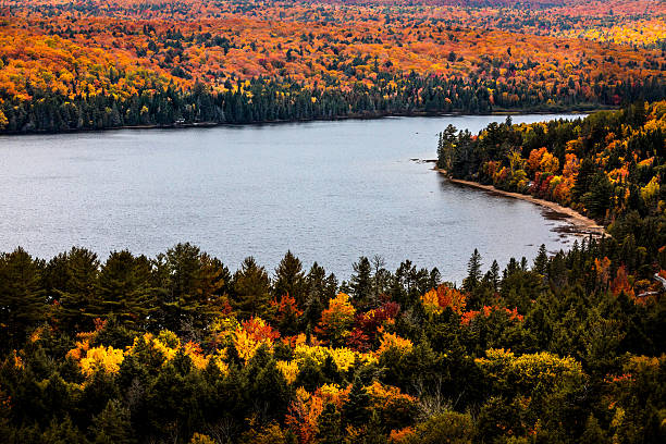istock Peaceful landscape on a lake in Ontario Canada Algonquin Park 623712920