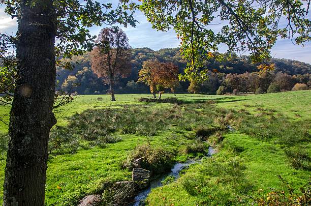 istock Small rill flowing in the middle of a meadow 623714890