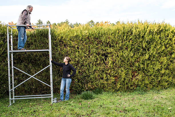 istock Senior on scaffolding with daughter below 623715258