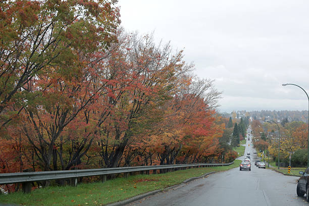istock Fall Foliage, 16th Avenue, Vancouver, British Columbia, Canada 623715672