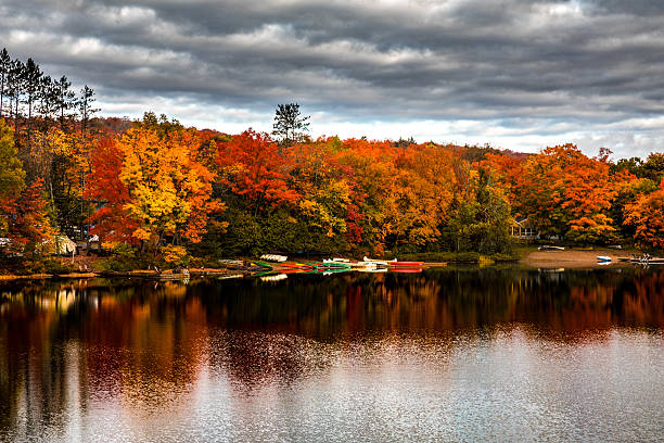 istock Peaceful landscape on a lake in Ontario Canada Algonquin Park 623715684