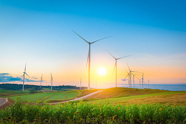 istock Windmills in sunset time at Khao Kho, Phetchabun, Thailand 623716194