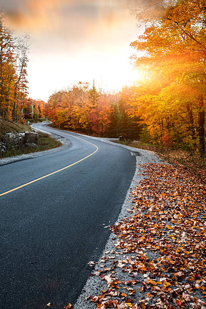istock Empty road in Canadian parks area during fall 623717248