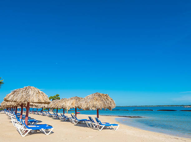 istock palm beach lounge chair 623746980
