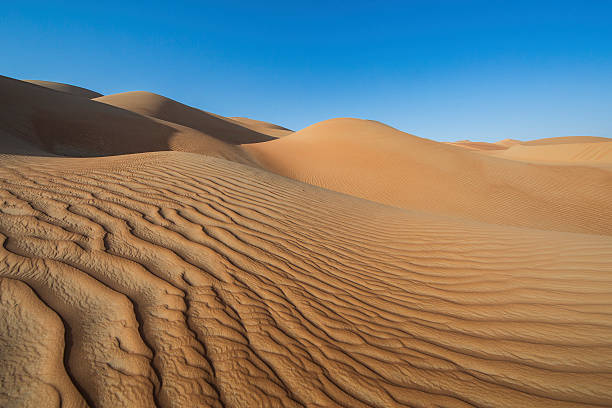 istock Sanddunes of liwa desert 623748282