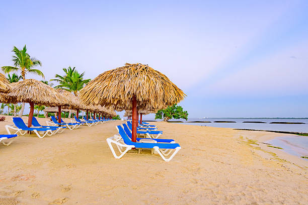 istock palm beach lounge chair 623748308