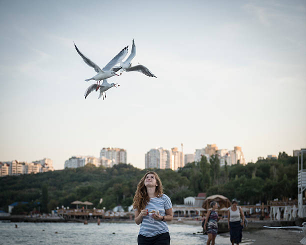 Woman feeding seagulls in Odessa, Ukraine Odessa, Ukraine - September 14, 2016: A young woman feeds seagulls at the beach in Odessa, Ukraine. odessa beach stock pictures, royalty-free photos & images