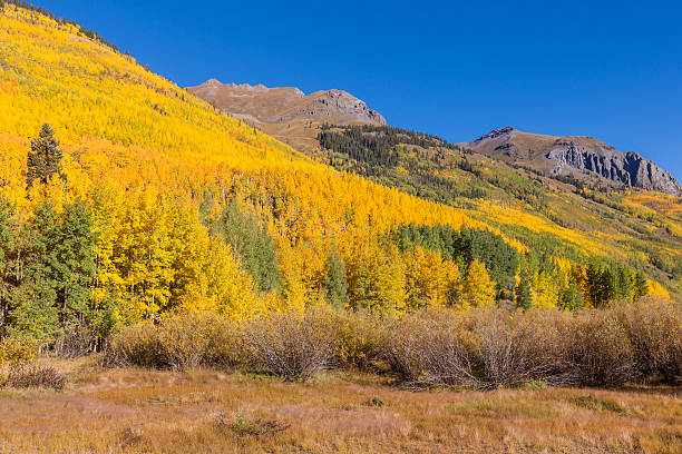 istock Colorado Mountain Landscape in Fall 623749924