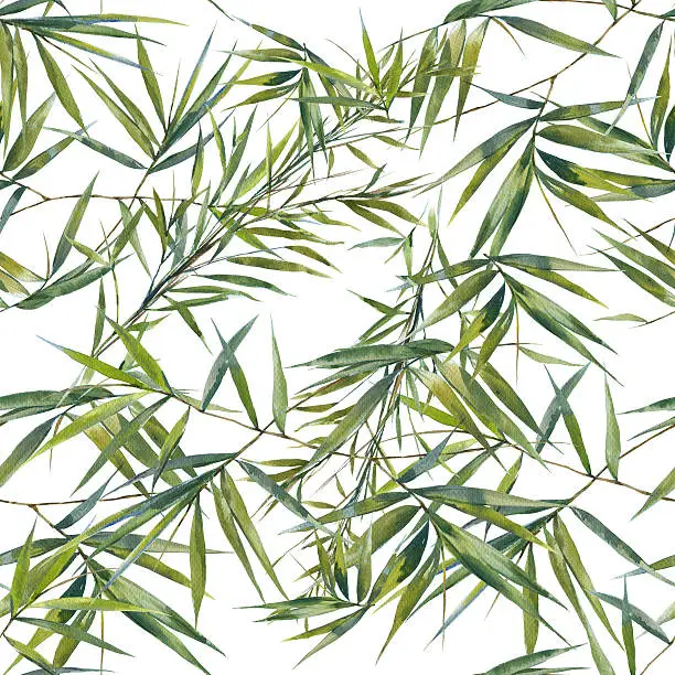 Photo of Watercolor illustration of bamboo leaves , seamless pattern