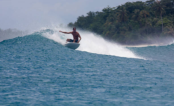 istock Surfer on a wave and tropical palm tree island 623753498